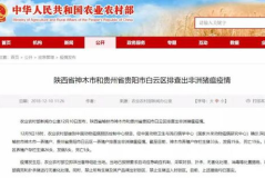 猪瘟最新爆料消息通知,揭秘病毒传播途径与防控措施